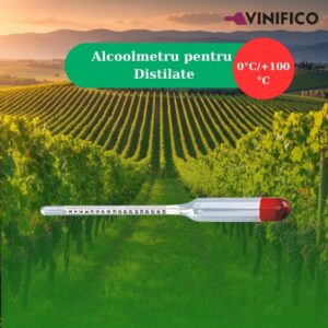 VINIFICO