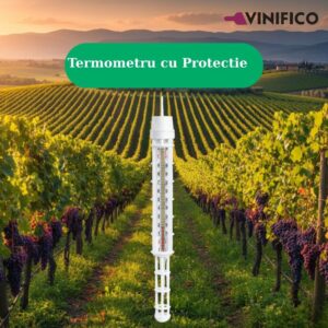 VINIFICO
