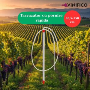 VINIFICO