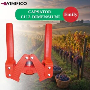 VINIFICO