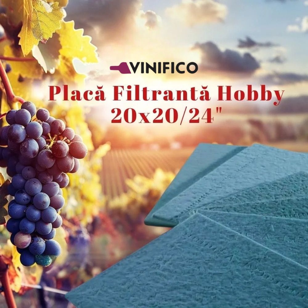 Placă Filtrantă Hobby 20x20 nivel 24