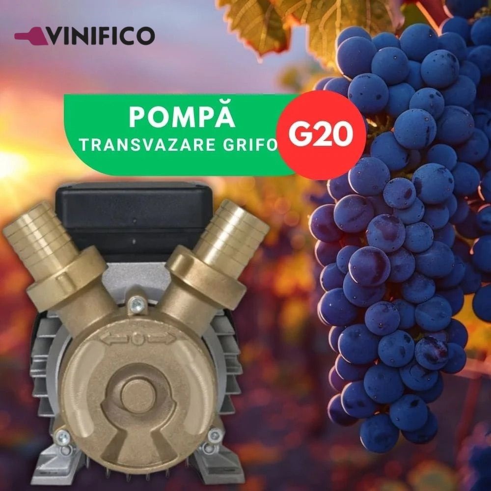 Pompă de Transvazare din Bronz Grifo G20