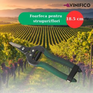 VINIFICO