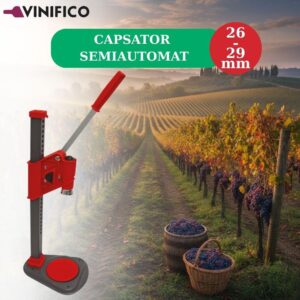 VINIFICO