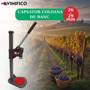 VINIFICO
