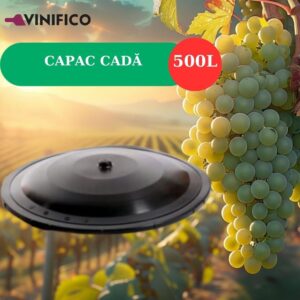 VINIFICO