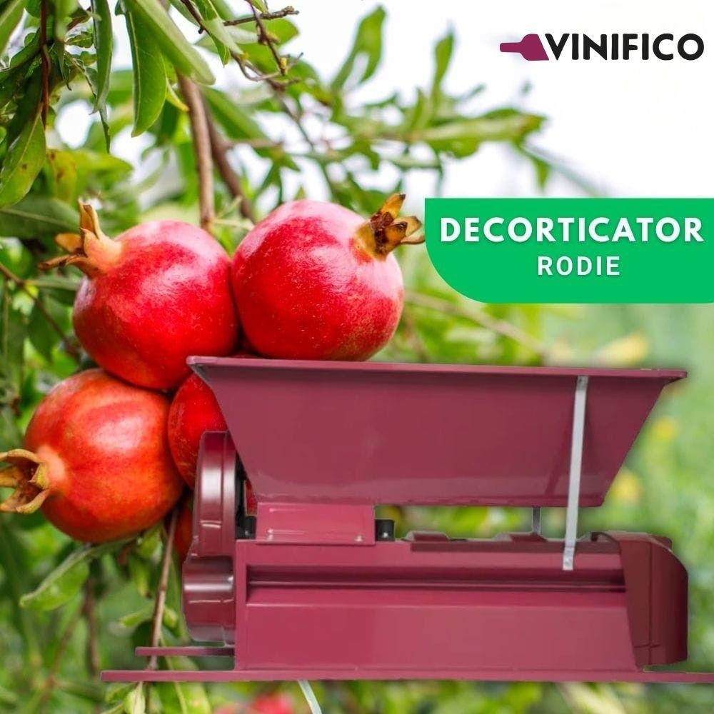 Decorticator motorizat de rodie, Grifo